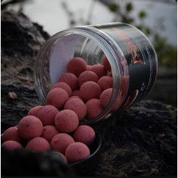 Pop up  Épice  Robin Red Hait's Ail Flottante Spicy